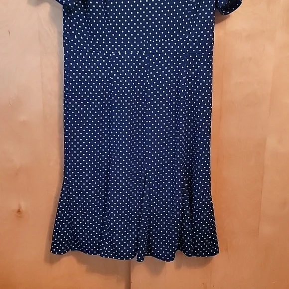 Talbots Blue White Polka Dot Dress - Picture 5 of 12